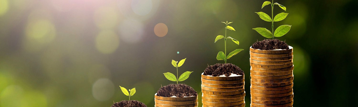profit-increases-plants.jpg