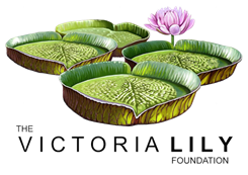 Logo of the Victoria Lily Foundation with layered lily pads and a blooming pink flower, representing resilience, nurturing, and positive impact.